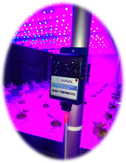 Plant factory environmental sensor installation