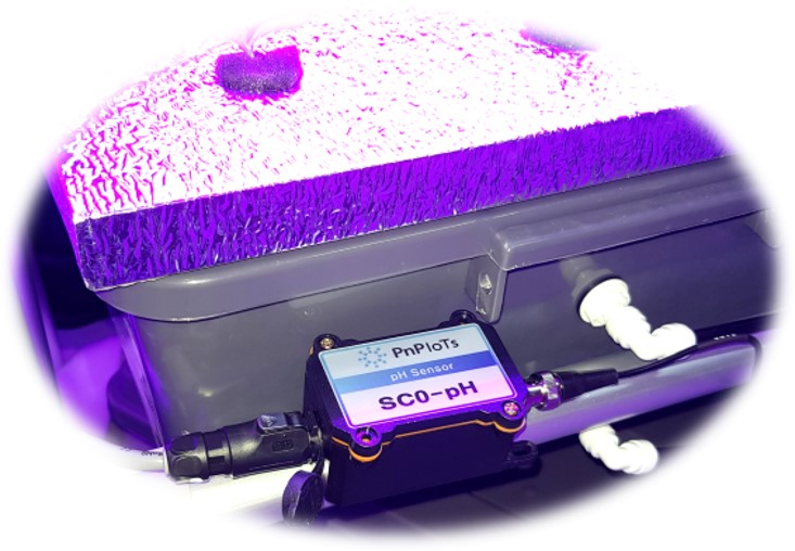 Plant factory pH monitoring equipment